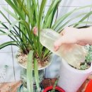 팜스바이오텍 이미지