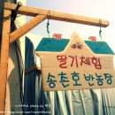송촌호반농장