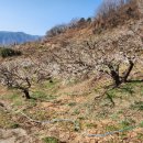 옥영농장 이미지