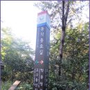 동작충효길 2코스 현충원길 이미지