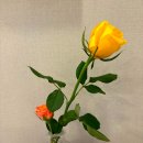 김앤박차이의원 이미지