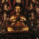 자유농산 이미지