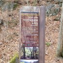 해인사소리길 이미지