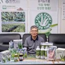 벨라포스트