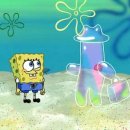 버블버블 이미지