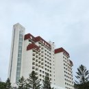 우리사우나 | 평창 켄싱턴호텔 수영장 키즈카페 사우나 헬스장 후기