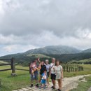 칭티엔 | (대만 타이베이 여행) 양명산 프라이빗 일일투어 칭티엔강 대초원
