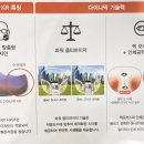 인디비주얼 이미지