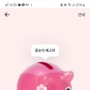꽃돼지
