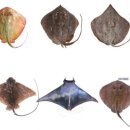 국립부경대학교 대학원 이미지