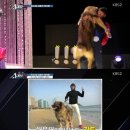 강토 이미지