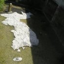 충청남도 산림박물관 이미지