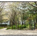 용포약수터 이미지