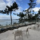 트윈브릿지 이미지