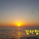 돌고래부동산공인중개사사무소 이미지