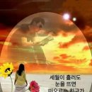 "숙성회 전문식당인 '배 들어온 집'을 찾아서"＜2021.11.02(화)＞ 이미지