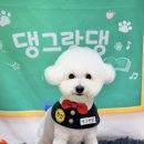 댕그랑댕 이미지