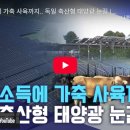 태양축산 이미지