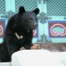 사성암 관광안내소 이미지