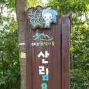 입화산참살이숲 이미지