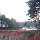 신흥근린공원 이미지