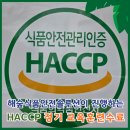 해숲