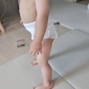 씽씽 | [모모래빗에코씽씽 사용 후기] 여름기저귀 사용 후기