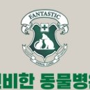 신비한 동물병원 인센텀 네이버블로그