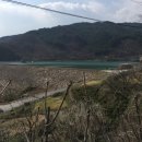하죽농장 네이버블로그