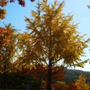 인천대공원(거수골) 이미지