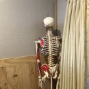 맑은손안마원 이미지