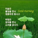별거 아닌 걸 이미지