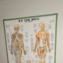 서현지압안마센터 | 일상_ 원종역 국가공인안마 💆‍♀️ 부천 안마맛집 서현지압안마센터 다녀왔어요