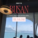 부산 송도 오션뷰 카페 EL16.52 후기｜암남공원 대형카페·베이커리 맛집 추천