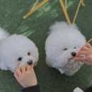 더현대대구반스
