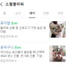 [소월플라워] 홍제동 꽃집 꽃다발 예약 픽업 후기