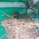 풍전농장 이미지