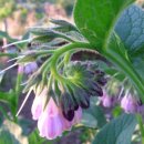 진해농장 이미지