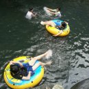 늘소나무산장 이미지