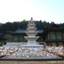 전나무목장 이미지