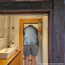 대봉2동주민센터 | 매달 새로운 메뉴와 테마를 선보이는 '이이알티 대구 심야식당' : 8月 중경삼림