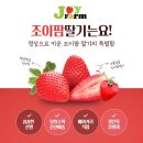 조이팜