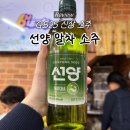 (주)선양소주 | [리뷰] GS25 신상 소주 '선양 말차 소주' 솔직 후기ㅣ가격, 도수, 소맥?