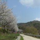 쉼힐링해독센터 네이버블로그