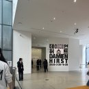 장수종로약국 | MMCA 데이미언 허스트 전시 새벽 예약 성공 후기부터 파격적인 작품 감상까지