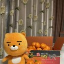 팡팡딜리버리 이미지