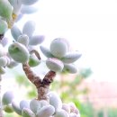 땡글공방 이미지