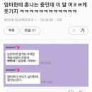 미마미 이미지