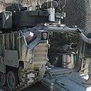 브래들리 이미지