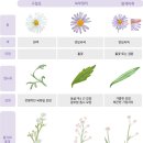 윤경재한의원 네이버블로그
